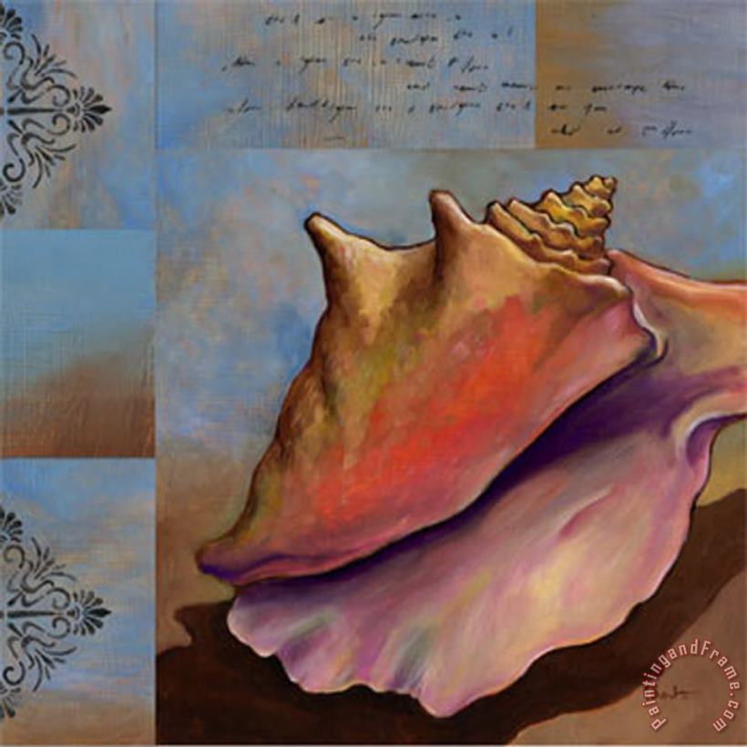 Sanibel Conch painting - Paul Brent Sanibel Conch Art Print