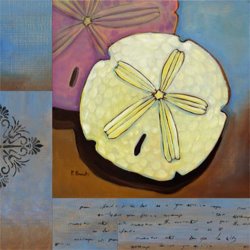 Paul Brent Sanibel Sand Dollar