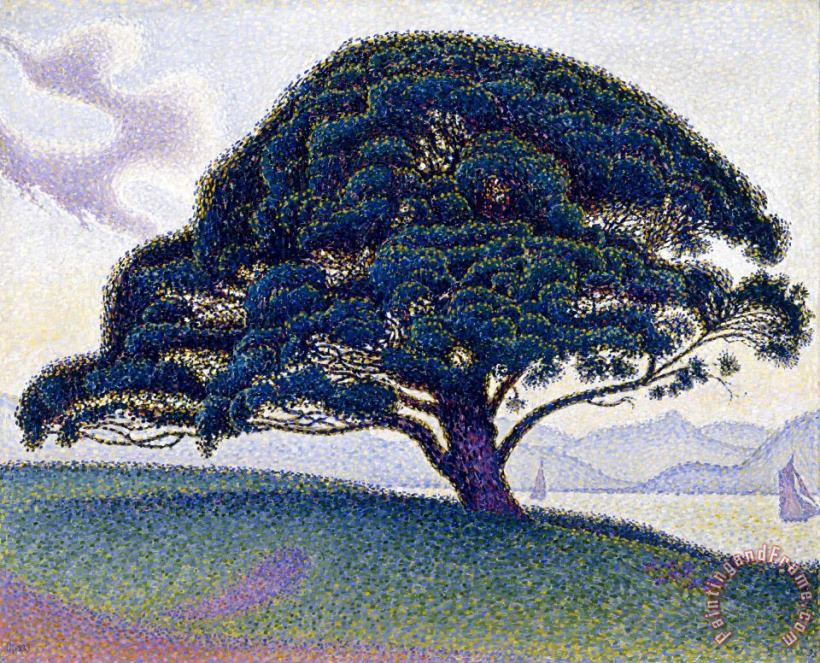 The Bonaventure Pine painting - Paul Signac The Bonaventure Pine Art Print