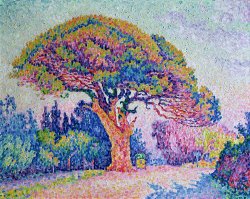 Paul Signac - The Pine Tree at Saint Tropez painting