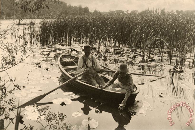 Peter Henry Emerson Gathering Water Lilies Art Print