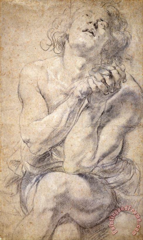 Peter Paul Rubens Seated Male Youth (study for Daniel) Art Print