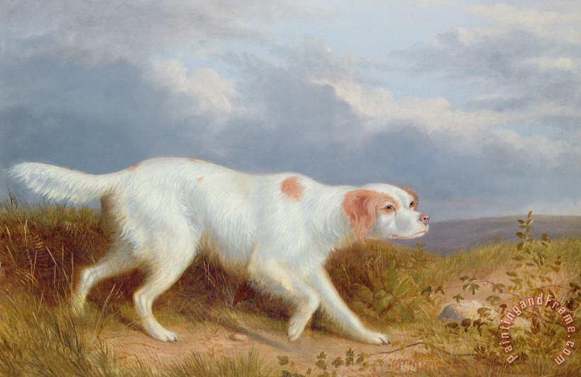 A Setter on the Moor painting - Philip Reinagle A Setter on the Moor Art Print