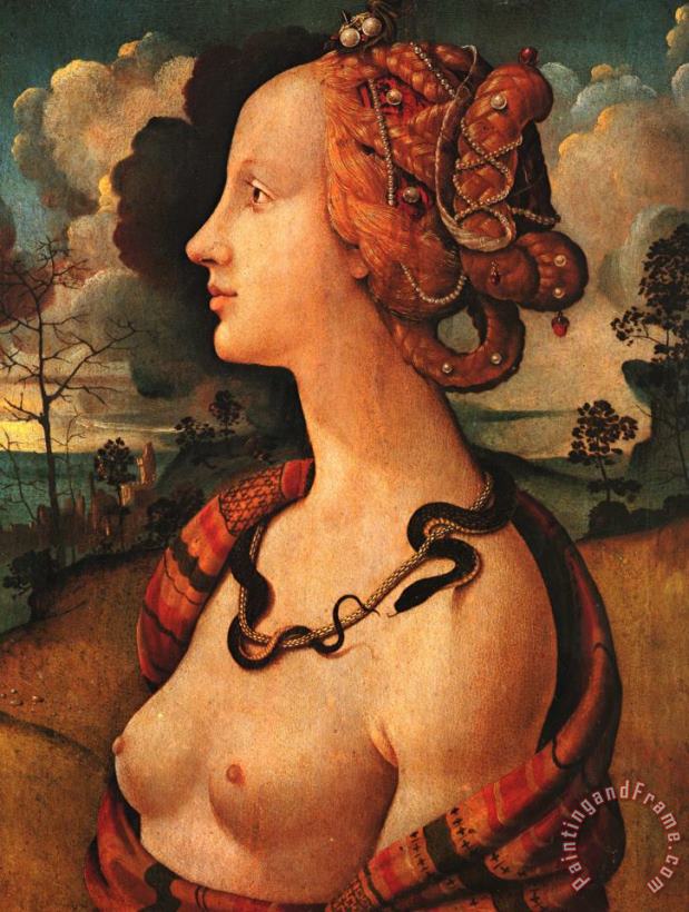 Piero di Cosimo Portrait of Simonetta Vespucci Art Painting