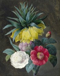Pierre Joseph Redoute Four Peonies And a Crown Imperial
