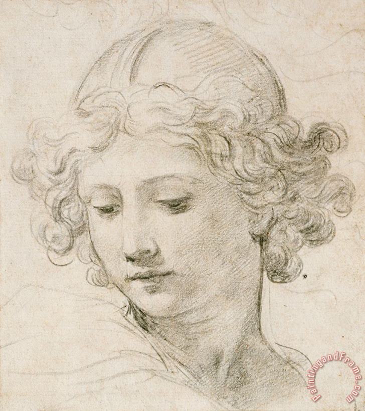Head Of An Angel painting - Pietro da Cortona Head Of An Angel Art Print