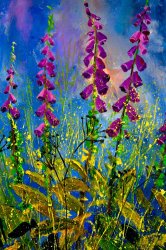 Pol Ledent Fox gloves