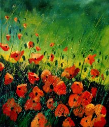 Pol Ledent Orange poppies