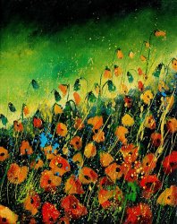 Pol Ledent Orange poppies 459080