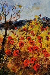Pol Ledent Poppies in provence 456321