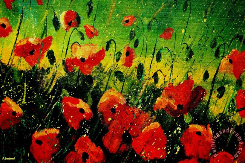 Poppies Poppies painting - Pol Ledent Poppies Poppies Art Print