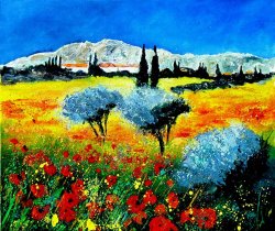 Pol Ledent Provence