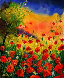 Pol Ledent Red Poppies 451