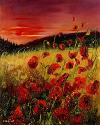 Pol Ledent - Red poppies and sunset painting
