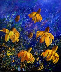 Pol Ledent Rudbeckia's