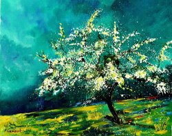 Pol Ledent Spring 67