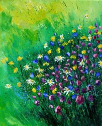 Pol Ledent Wild Flowers