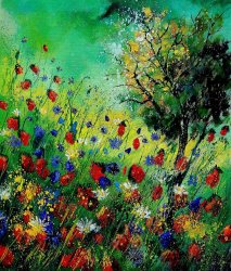 Pol Ledent Wild Flowers 670130