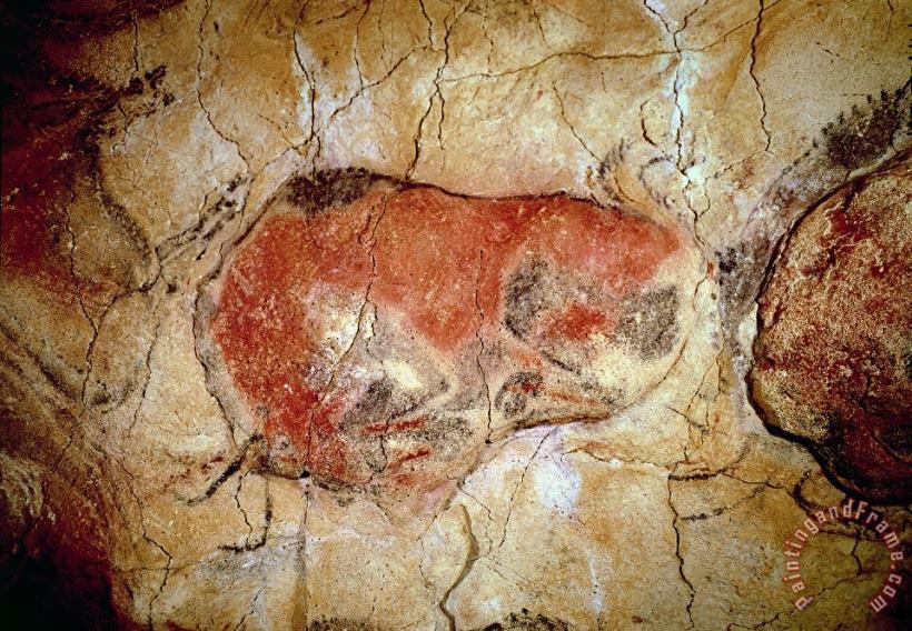 Prehistoric Bison from the Altamira Caves Art Painting