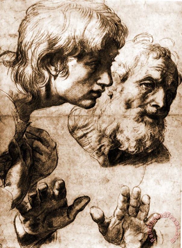Raphael Studies for The Transfiguration Art Print