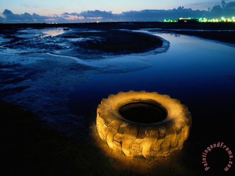 A Discarded Tire Glowing Like Neon in The Marsh painting - Raymond Gehman A Discarded Tire Glowing Like Neon in The Marsh Art Print