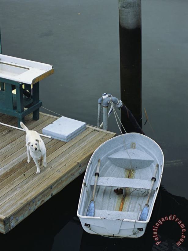 Raymond Gehman A Dog Waits on a Dock Near a Small Row Boat Art Print