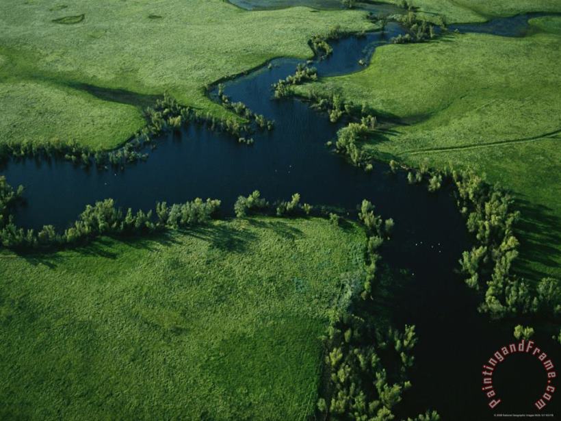 Raymond Gehman Aerial View of North Stone Lake in The Wetland Area Art Painting