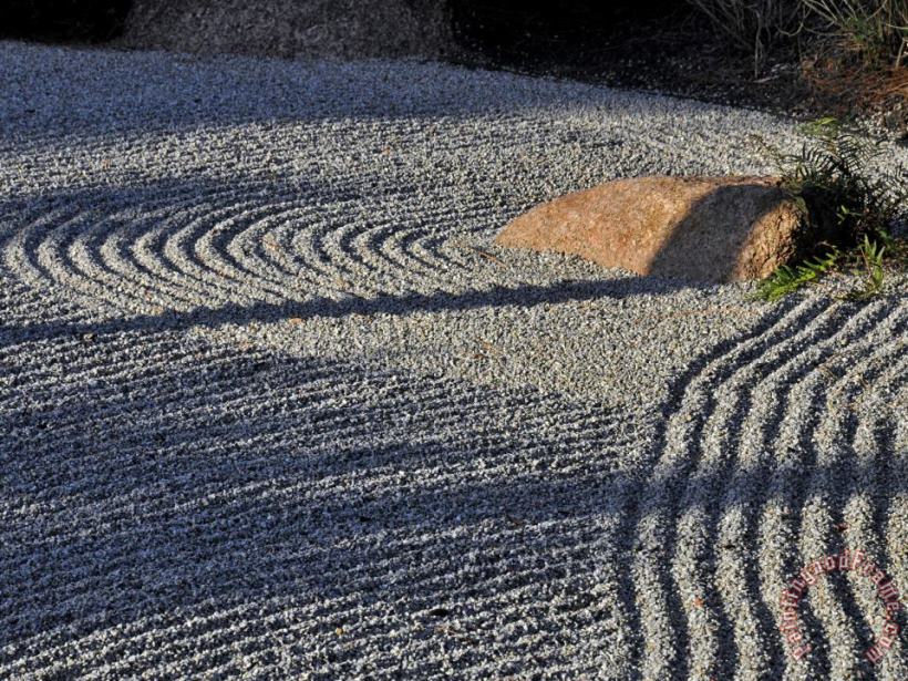 Raymond Gehman An Embedded Rock Catches The Afternoon Sun in a Raked Rock Garden Art Painting