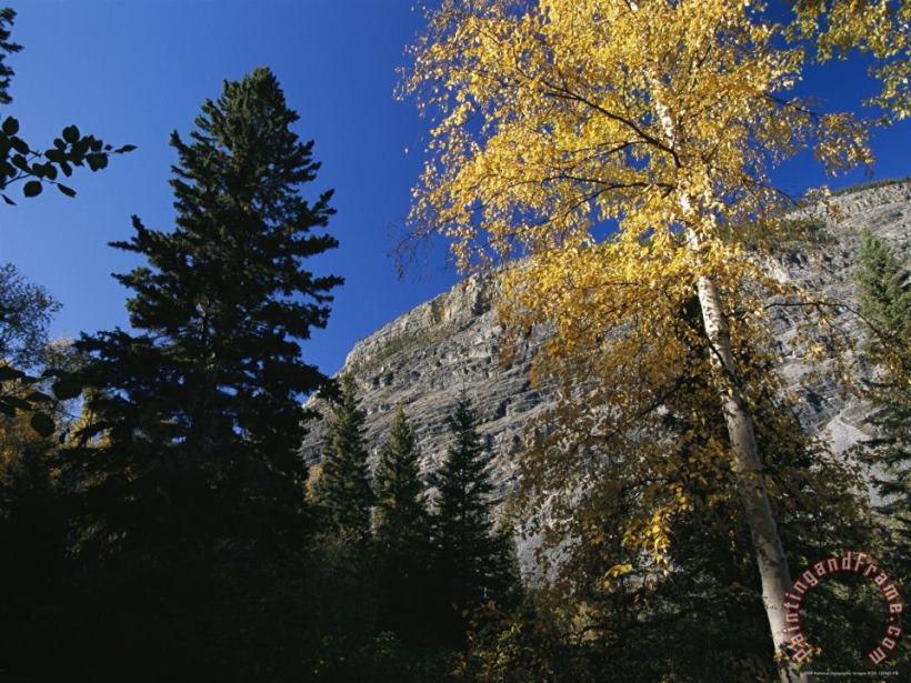 Autumn Foliage Surrounds The Limestone Face of The Nahanni Mountain Range painting - Raymond Gehman Autumn Foliage Surrounds The Limestone Face of The Nahanni Mountain Range Art Print