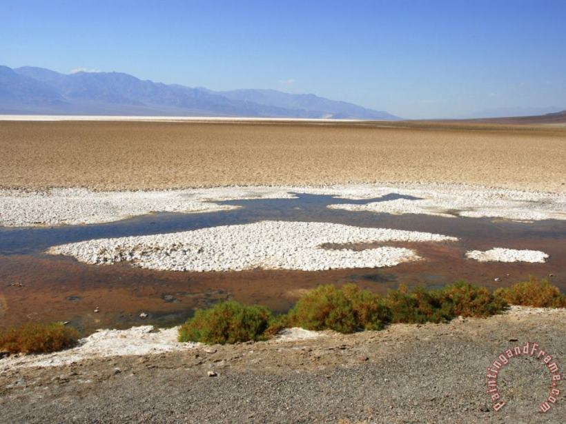 Badwater Basin in Death Valley National Park Ca painting - Raymond Gehman Badwater Basin in Death Valley National Park Ca Art Print