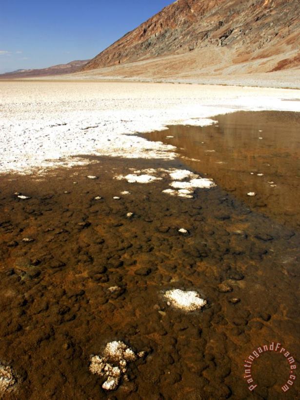 Badwater Basin in Death Valley National Park California painting - Raymond Gehman Badwater Basin in Death Valley National Park California Art Print