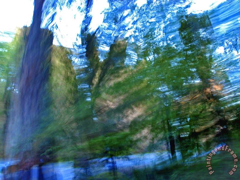 Raymond Gehman Blurred Motion Shot Redwood Trees at The Side of The Road Art Painting