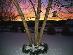 Raymond Gehman Brilliant Dawn Rises on a Tree And Birdhouse on a Snow Covered Yard