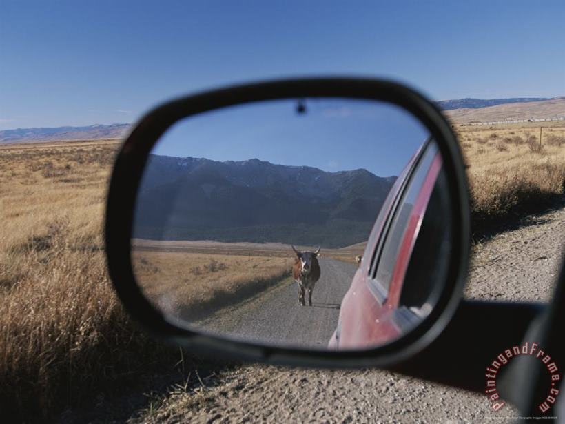 Raymond Gehman Cattle on a Dirt Road Are Reflected in The Rear View Mirror of a Car Art Print