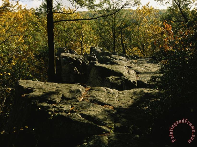 Fall Foliage And Boulders on The Appalachian Trail painting - Raymond Gehman Fall Foliage And Boulders on The Appalachian Trail Art Print