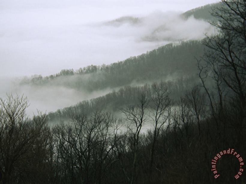 Fog in The Valley Near Fishers Gap Along Skyline Drive painting - Raymond Gehman Fog in The Valley Near Fishers Gap Along Skyline Drive Art Print