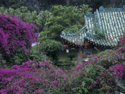 Raymond Gehman Formal Gardens Around Tile Roofed Chinese Style Building