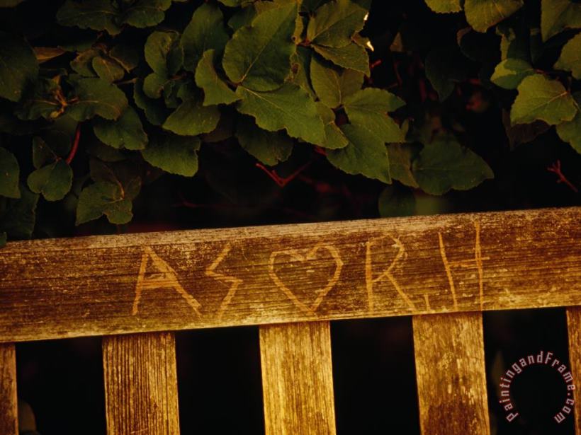 Raymond Gehman Graffiti Carved Into a Bench at The Quiet Garden Art Painting