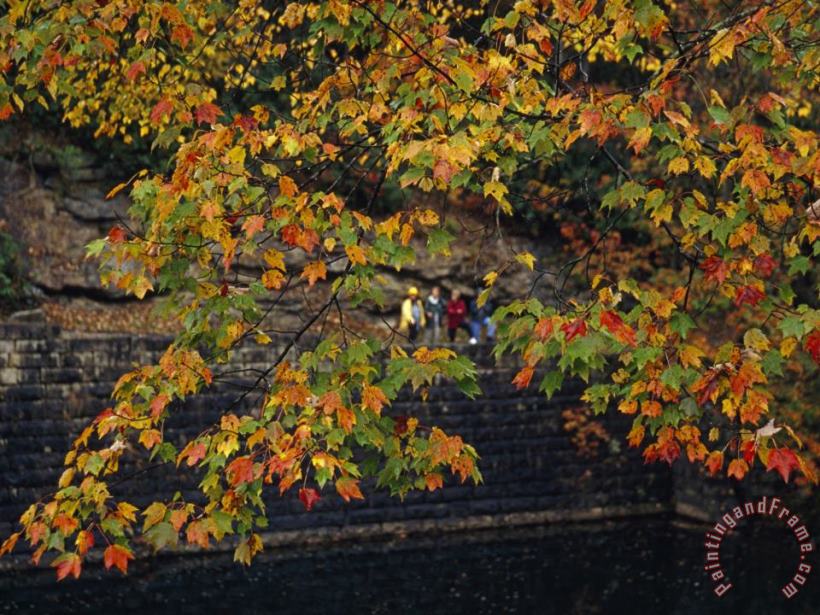 Raymond Gehman Hikers Seen Through The Branches of a Maple Tree in Autumn Hues Art Print