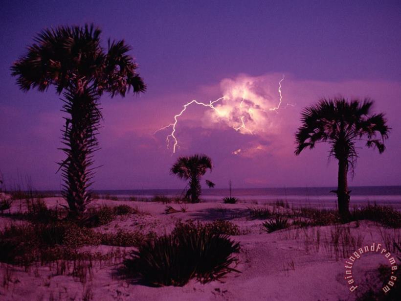 Raymond Gehman Lightning Illuminates The Purple Sky Over Cumberland Island National Seashore Art Painting