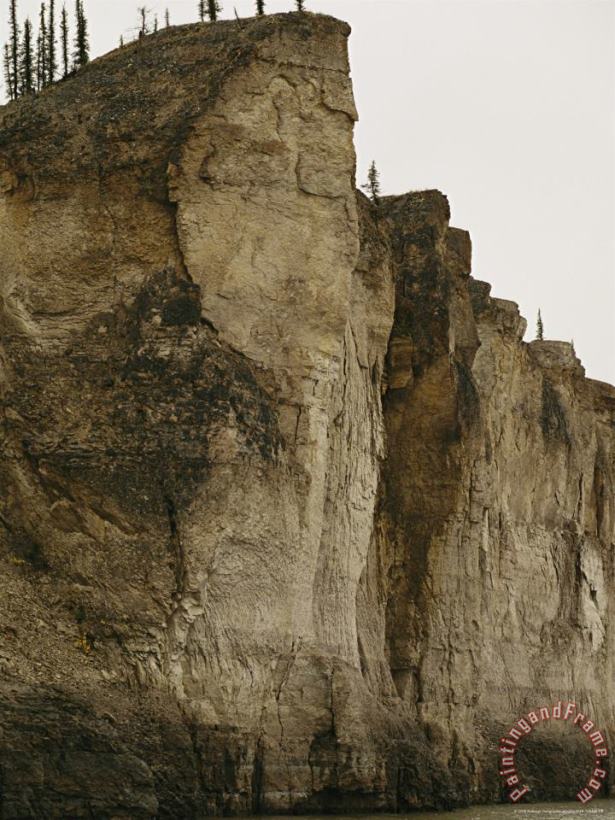 Raymond Gehman Limestone Cliffs Bordering The Mackenzie River Art Painting