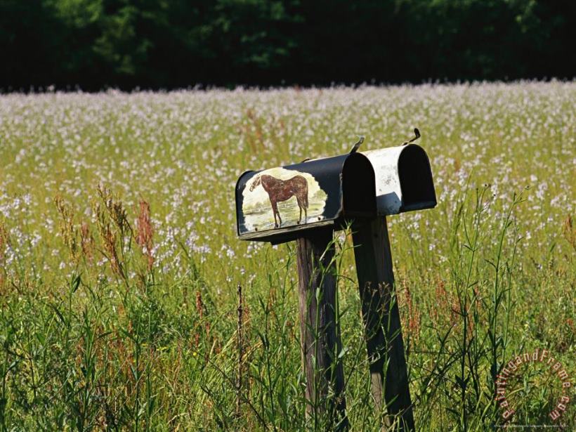 Raymond Gehman Mailboxes And a Field of Wildflowers Art Painting