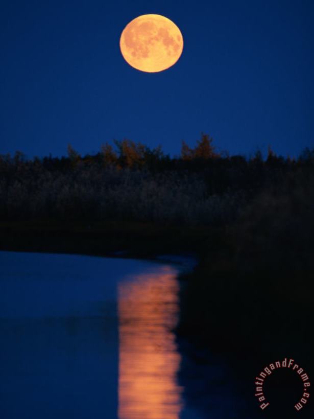 Moonrise Over The Delta painting - Raymond Gehman Moonrise Over The Delta Art Print