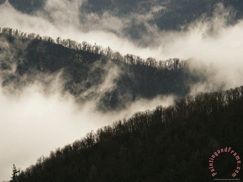 Morning Valley Fog Rising Around Thorofare Mountain painting - Raymond Gehman Morning Valley Fog Rising Around Thorofare Mountain Art Print