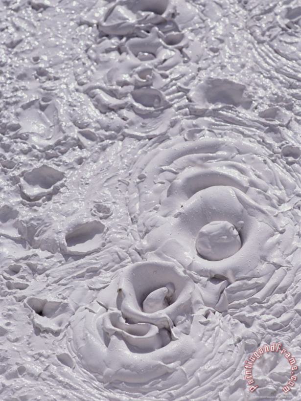Raymond Gehman Mud Pot Detail Pocket Basin Art Painting