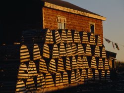Raymond Gehman Neatly Stacked Lobster Traps at a Fishing Camp Gros Morne Np Newfoundland Canada