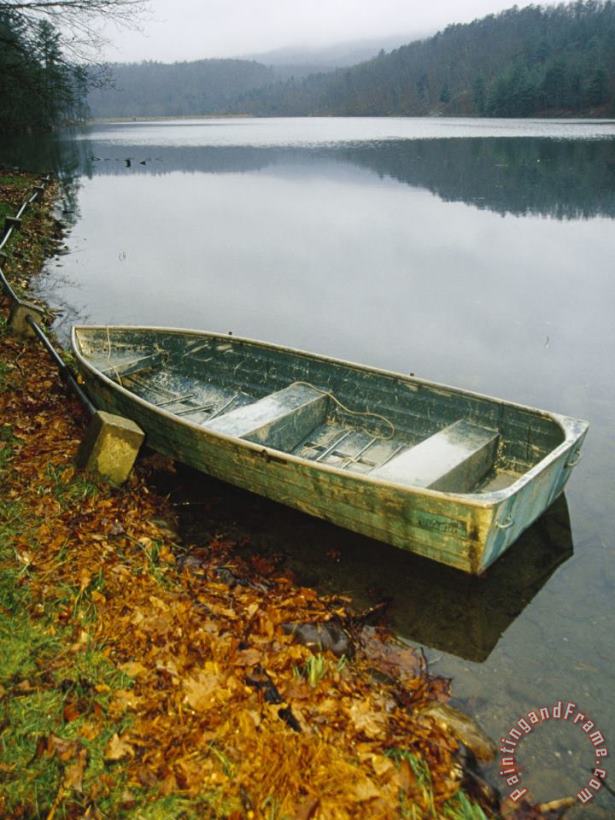 Old Rowboat on The Shore of Douthat Lake in Rain painting - Raymond Gehman Old Rowboat on The Shore of Douthat Lake in Rain Art Print