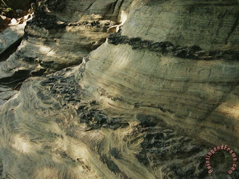 Quartzite Metamorphosed Sandstone at Base of Pilot Mountain painting - Raymond Gehman Quartzite Metamorphosed Sandstone at Base of Pilot Mountain Art Print