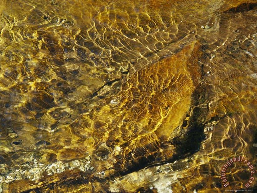 Raymond Gehman Rippling Water in Jefferson National Forest Art Painting