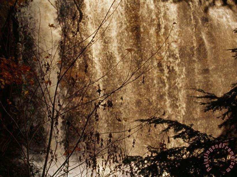 Scenic View of The Cascading Water of Blackwater Falls painting - Raymond Gehman Scenic View of The Cascading Water of Blackwater Falls Art Print